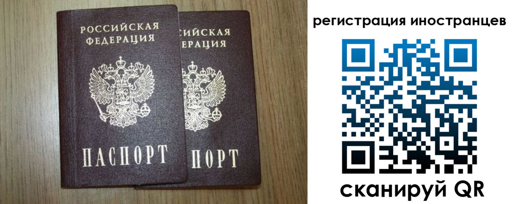 прописка для школы в Старом Осколе